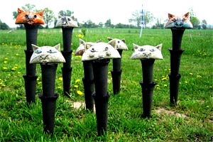 Katzenstehlen